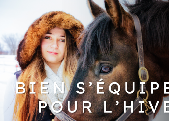 bannière. cheval et cavalière en hiver