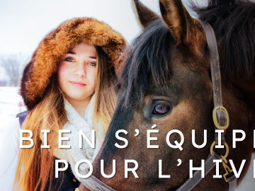 bannière. cheval et cavalière en hiver