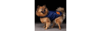 Vestes manteaux pour chien