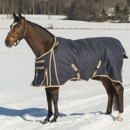 Couverture hiver cheval