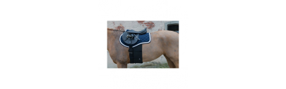 Bande de respect pour cheval