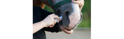 Vermifuge cheval