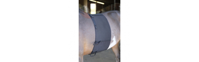 Bande de respect cheval