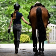 Destockage equipement Cavalier