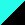 Turquoise / Noir
