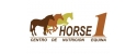 HORSE1
