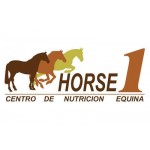 HORSE1