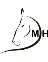DMH Equitation