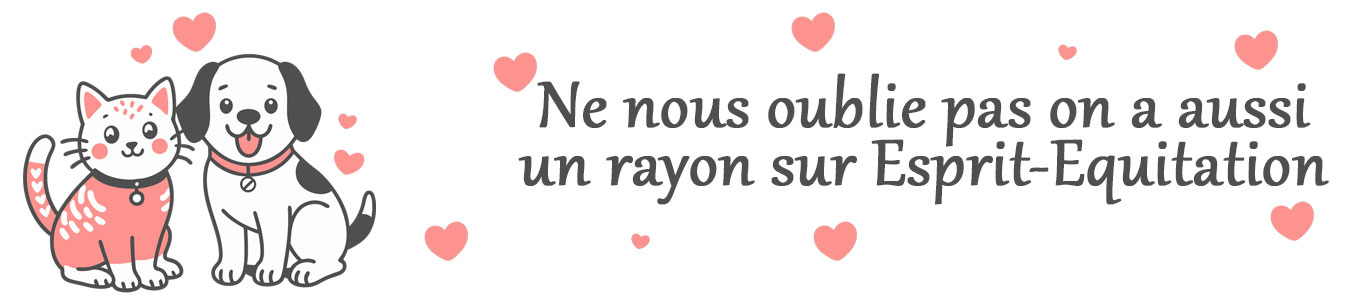 Chiens et Chats