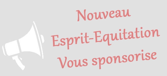 Sponsoring